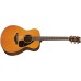 Yamaha FS800 T